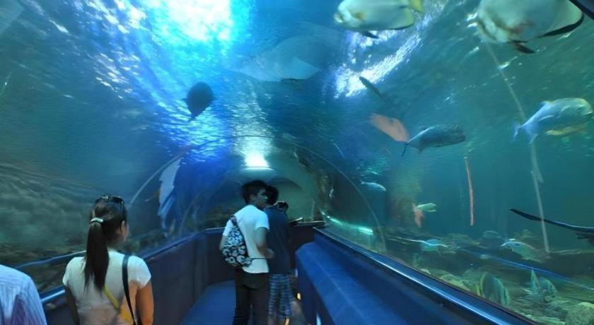 Vinpearl Discovery Rockside Nha Trang Exteriér fotografie